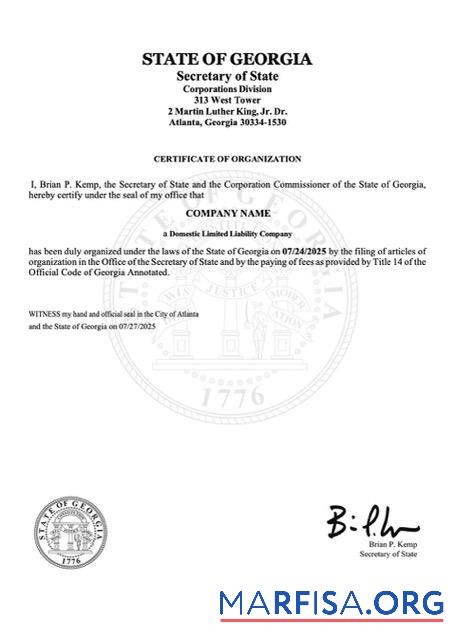 Realistic USA Georgia certificate of organization Word and PDF template